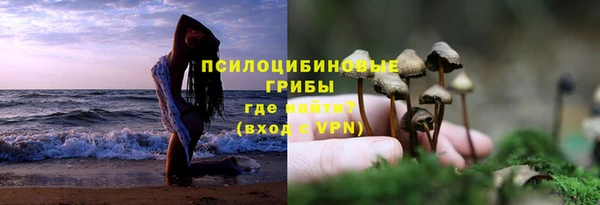 СК Алексеевка